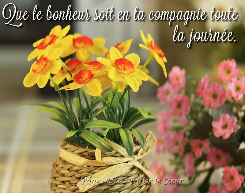 Joyeux Anniversaire Que Du Bonheur Et De Reussite Inchallah Dann Yuki