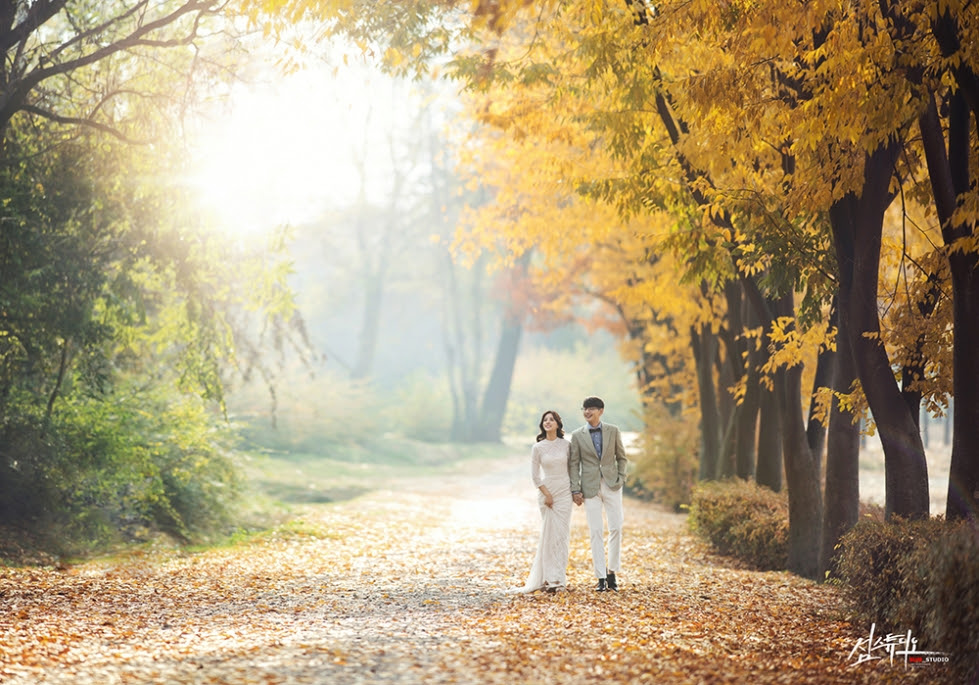 Unduh 440 Koleksi Background Foto Studio Prewedding Hd Terbaik Download Background