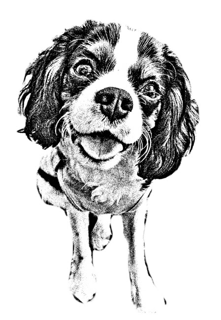手書き 犬 イラスト リアル 鉛筆 最高の壁紙のアイデアcahd