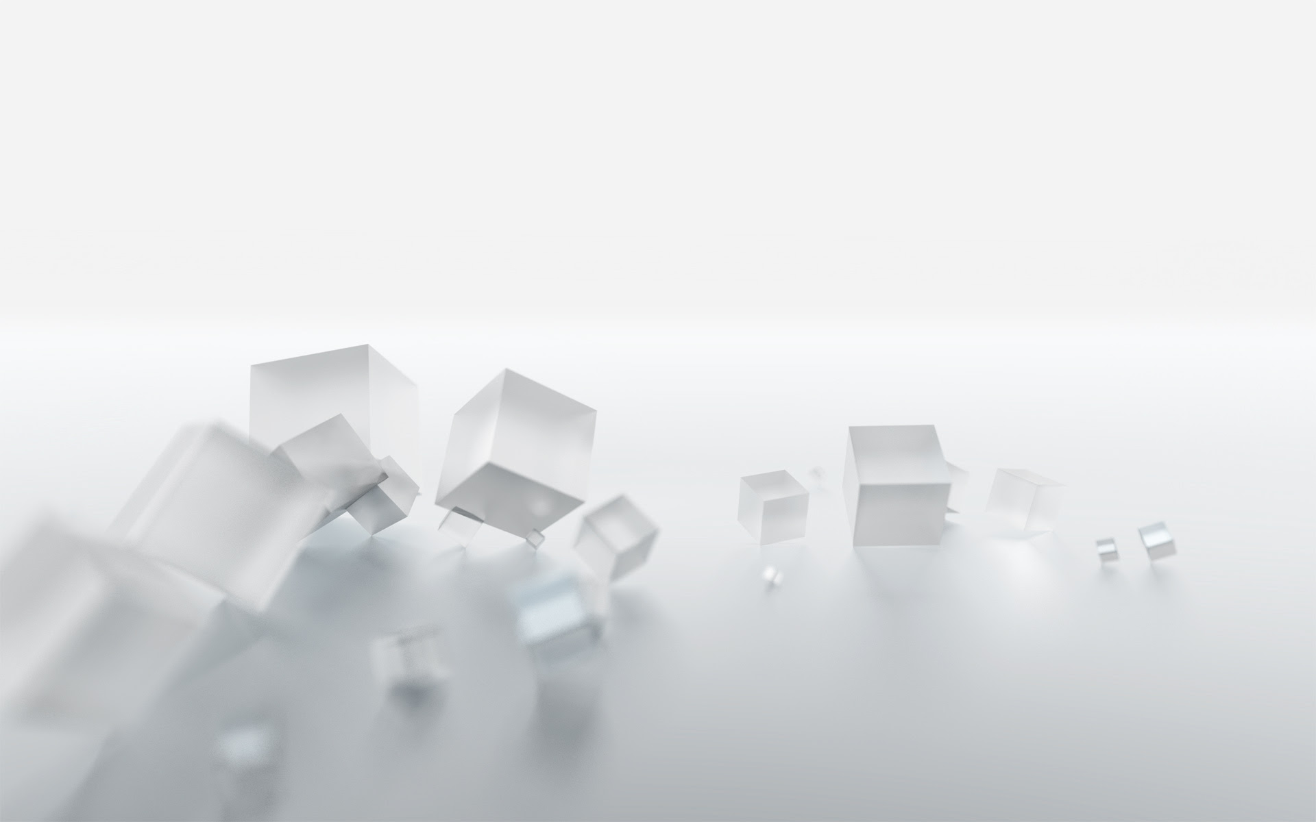 すべての美しい花の画像 ベスト50 壁紙 Pc 花 白