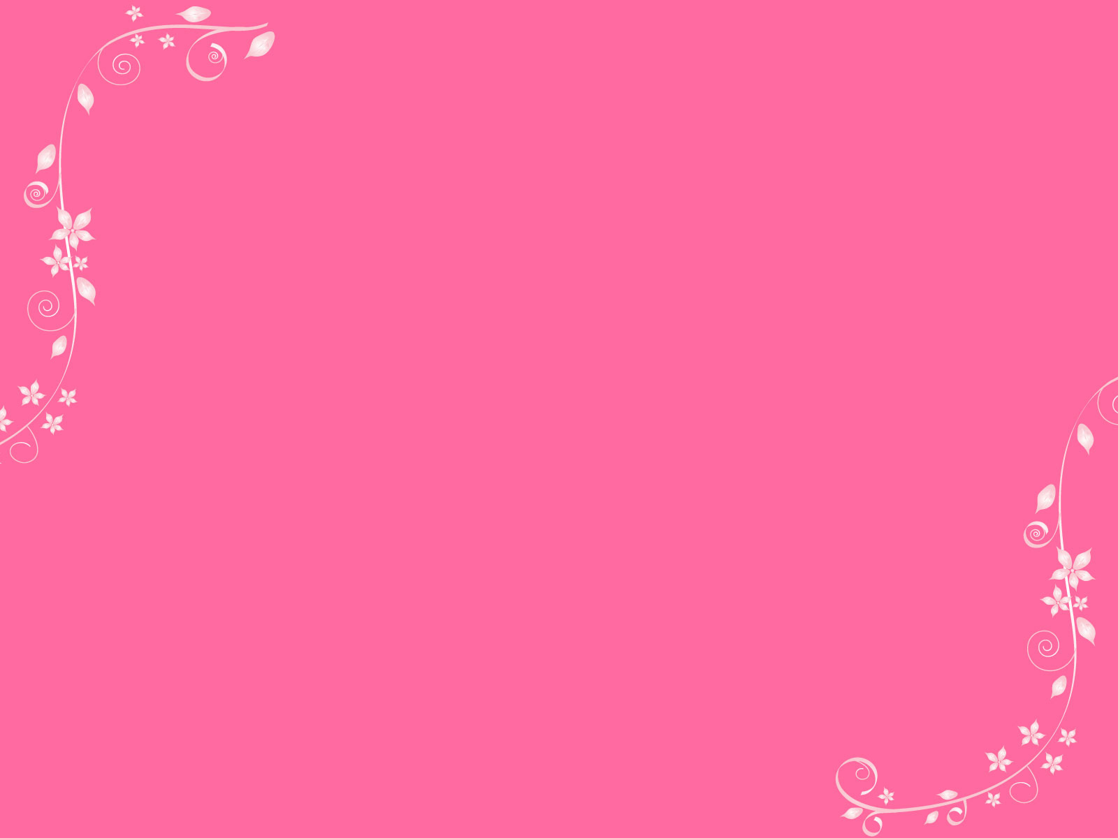  Wallpaper  Hp Warna  Pink  Polos Paimin Gambar 