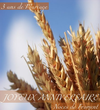 Anniversaire De Mariage Noce 2 Ans Deja Allena
