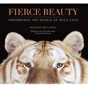 Dad Of Divas Reviews Book Review Fierce Beauty