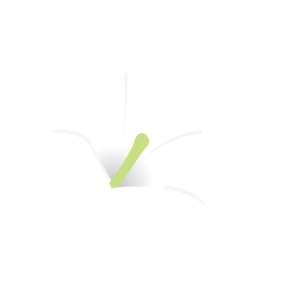 驚くばかりジャスミン 花 イラスト フリー スーパーイラストコレクション