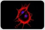 Detecting Cytokines using Intracellular Flow Cytometry