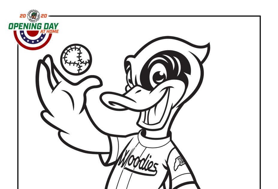 16 Wood Duck Coloring Pages - Printable Coloring Pages