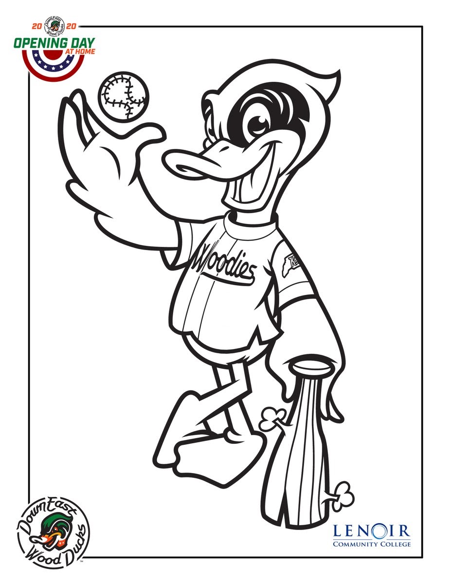 Download Wood Duck Coloring Page - 235+ Amazing SVG File for Cricut, Silhouette and Other Machine