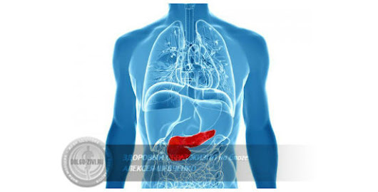 От чего воспаляется поджелудочная железа – знание причин болезни помогает ее избежать