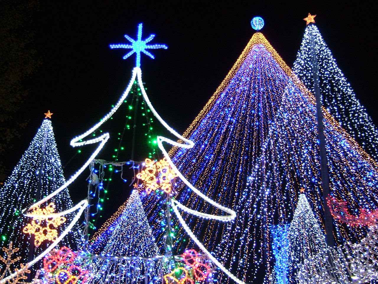 綺麗なクリスマス イルミネーション 壁紙 最高の花の画像