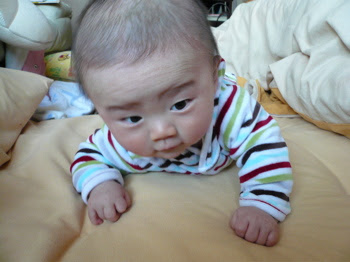 すべてのカタログ 驚くばかり 胎児 頭 でかい