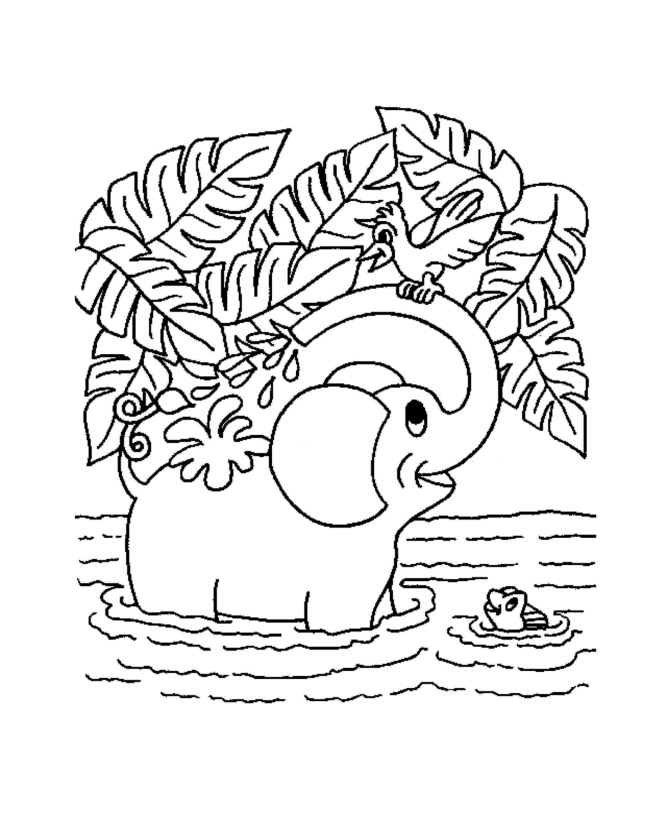Jungle animals coloring pages free. Free Jungle Coloring Sheets Download Free Jungle Coloring Sheets Png Images Free Cliparts On Clipart Library