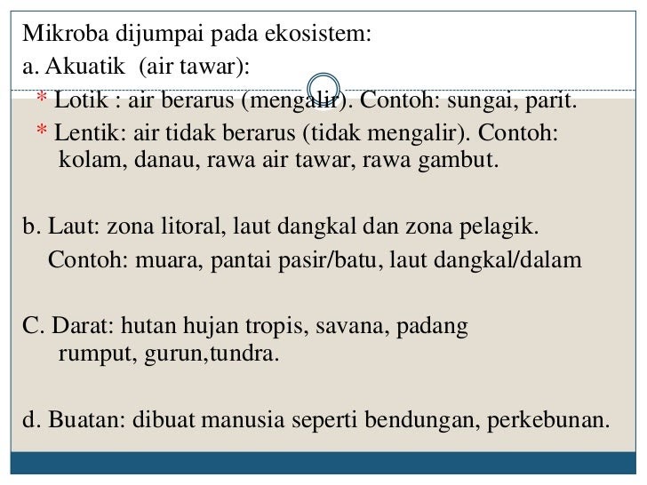 Contoh Daftar Isi Makalah Ekosistem - Toast Nuances