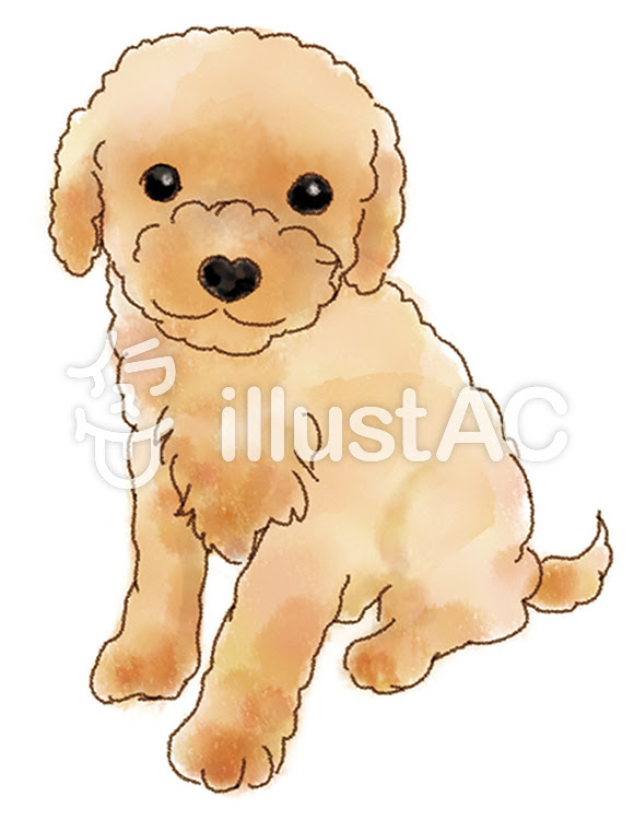 無料ダウンロード かわいい 犬 イラスト トイ プードル Jpsaepictkexd
