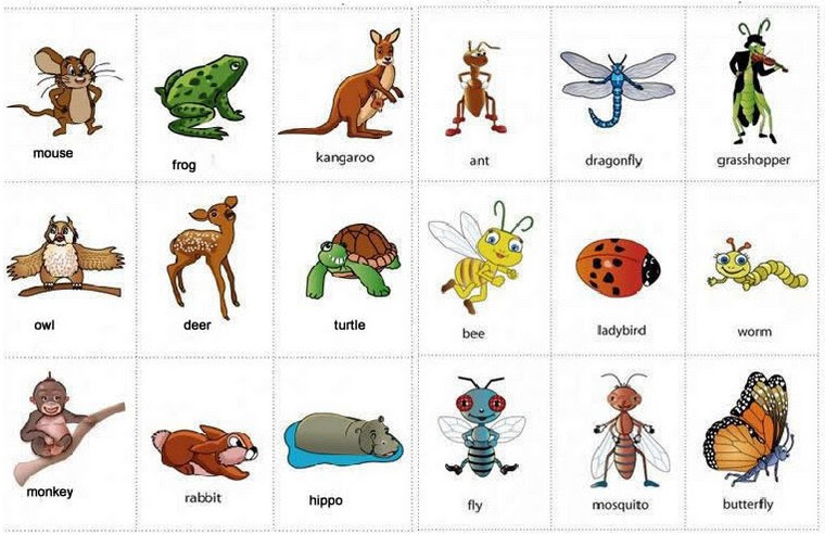  Contoh  Gambar Kartun Hewan  Contoh  Tab