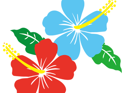 沖縄 花 イラスト 簡単 159563