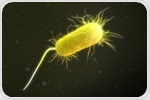 C-di-GMP Signaling in Bacteria