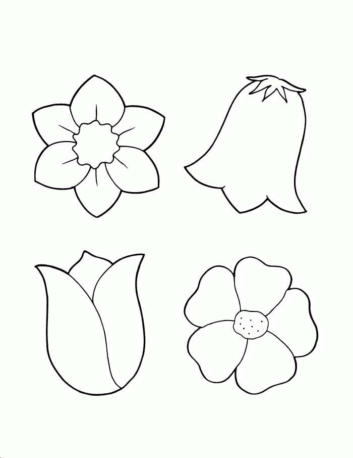 Top produkte von picture jetzt beim bergsportprofi bestellen! Free Spring Color Pictures Download Free Spring Color Pictures Png Images Free Cliparts On Clipart Library