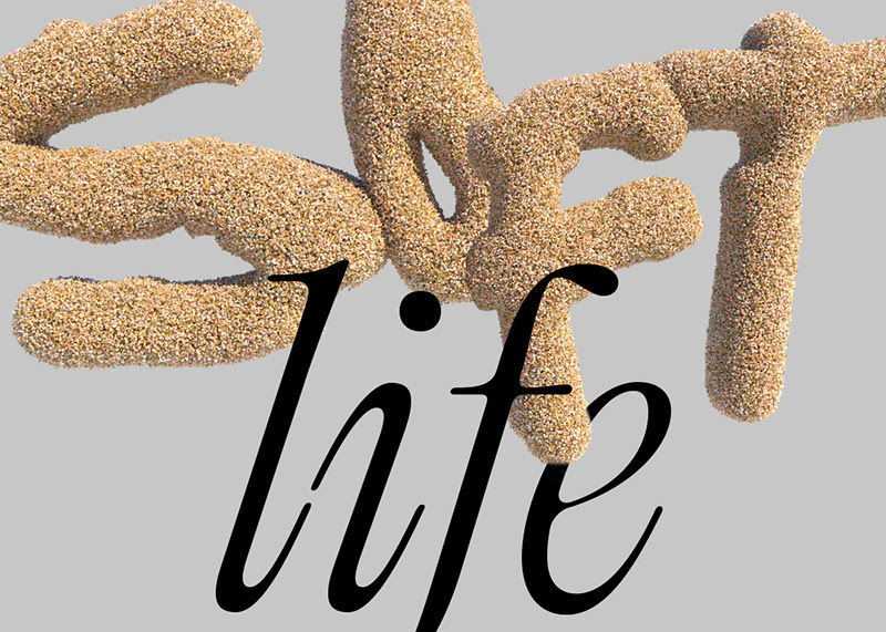 The words SOFT LIFE are presented typographically. SOFT is presented in grains of sand and LIFE appears in bold black italics.