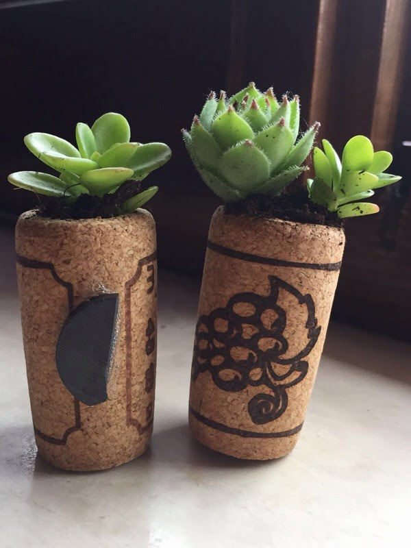 Forma del kokedama, una sorta di bonsai volante che può davvero dare un tocco di originalità a tutta la casa nell'attesa del natale. Kokedama Bonsai Volanti Fashion In Flair