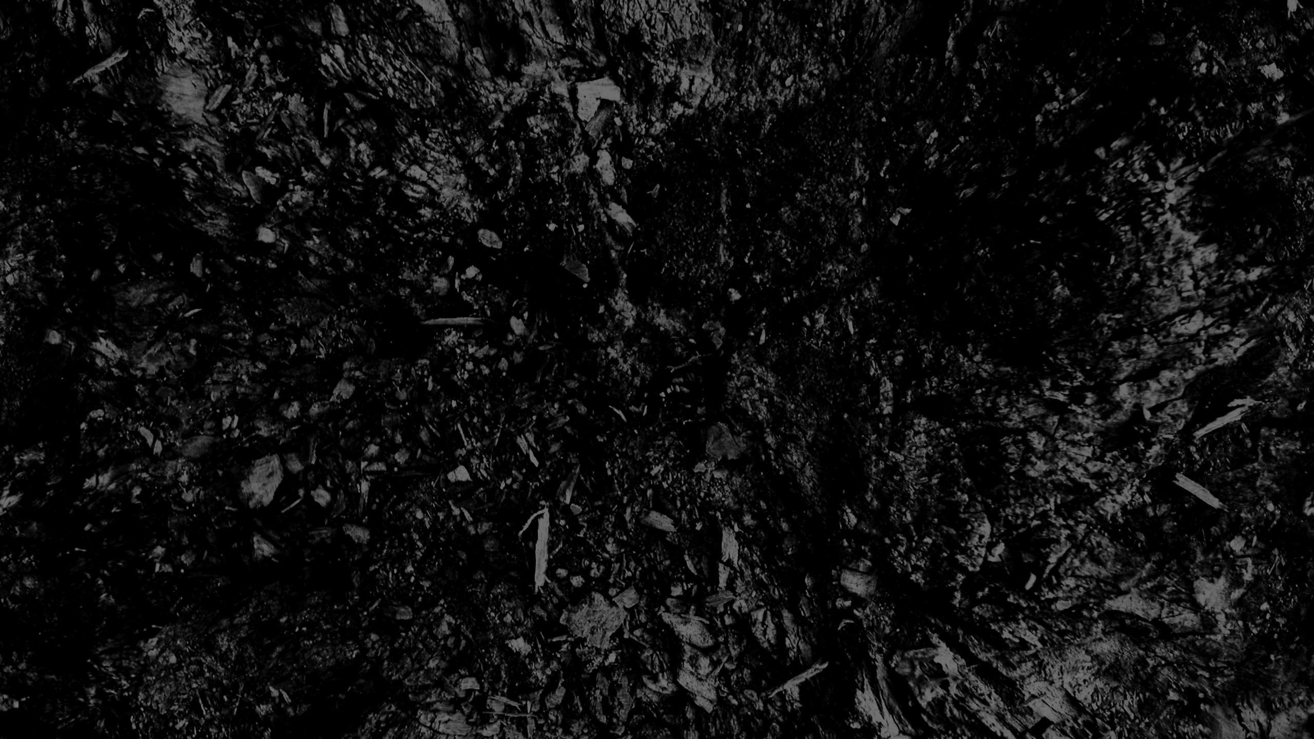 Hd限定2560 X 1440 壁紙 最高の花の画像