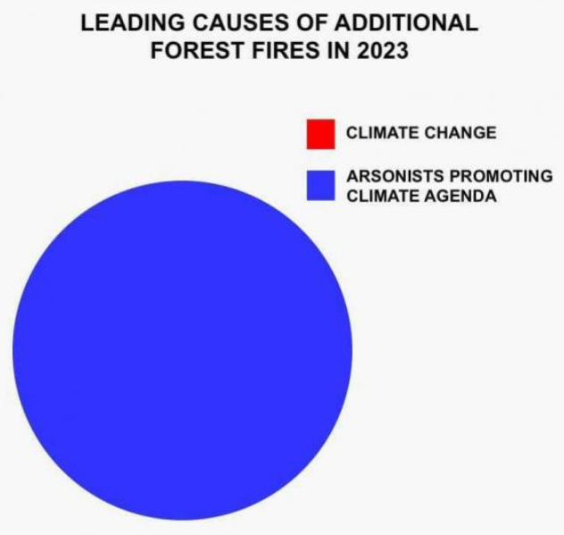 Humorous pie chart showing that all forest foires are created by arsenists on behalf of global warming folk.