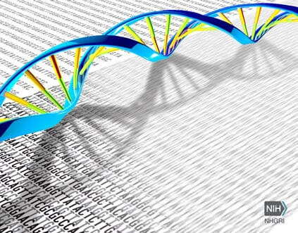 whole genome sequencing