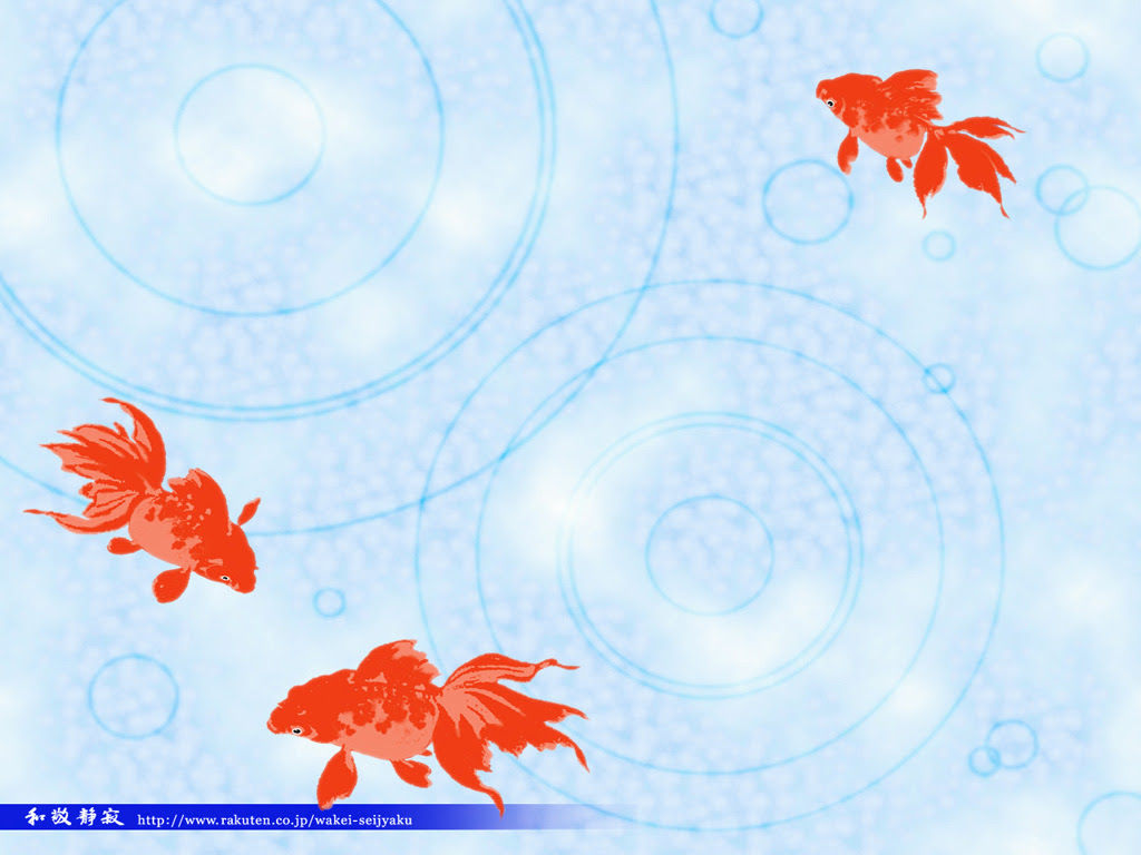 最新デスクトップ 金魚 壁紙 最高の花の画像
