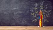 Blackboard, pencils, tree drawn on the blackboard