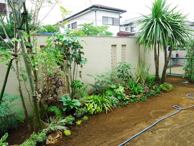 √1000以上 南国 庭づくり 141819-南国 庭づくり