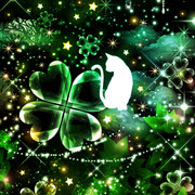 ぜいたく幻想 的 壁紙 スマホ 最高の花の画像