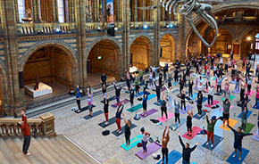 A large crowd of people doing a yoga pose on yoga mats in Hintze Hall