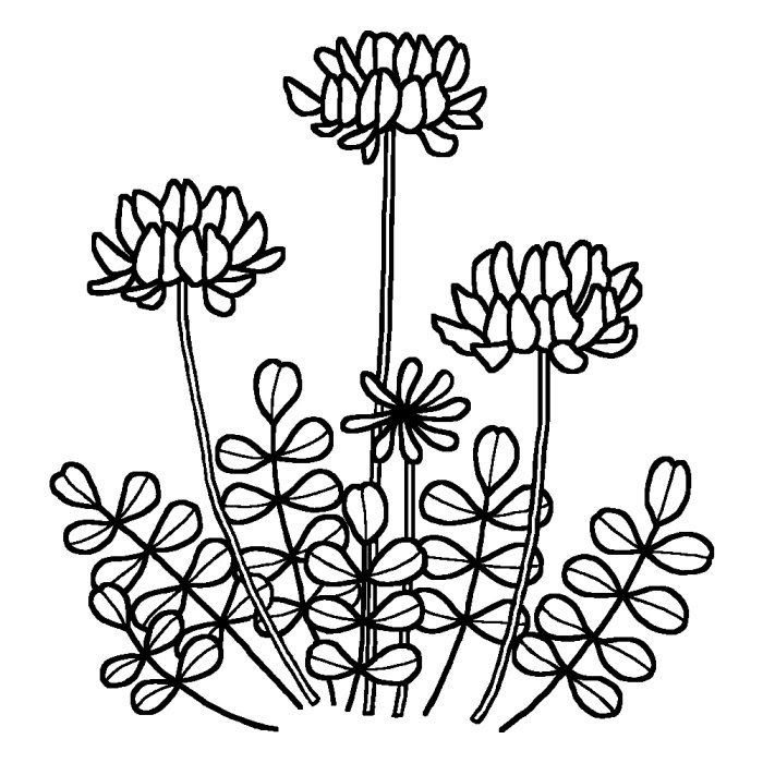 無料印刷可能春の 花 イラスト 白黒 すべての美しい花の画像