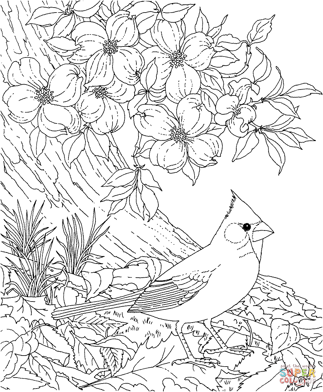 Cherry Tree Coloring Page : √ 27 Cherry Blossom Coloring Page