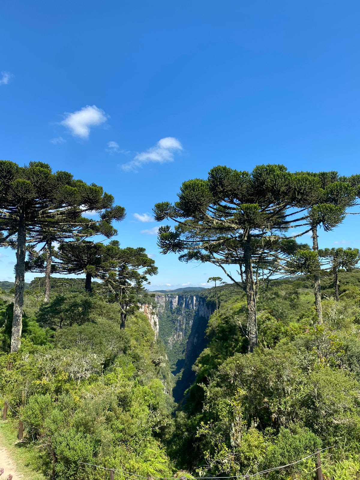 Turismo - Atenção para vigência e renovação dos cadastros no Mapa do Turismo Brasileiro