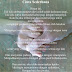 Kata Motivasi Untuk Ke Kasih