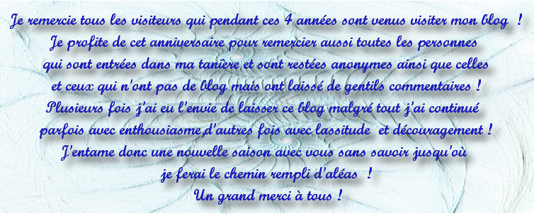 Anniversaire Pour Une Fille De 13 Ans Elmers