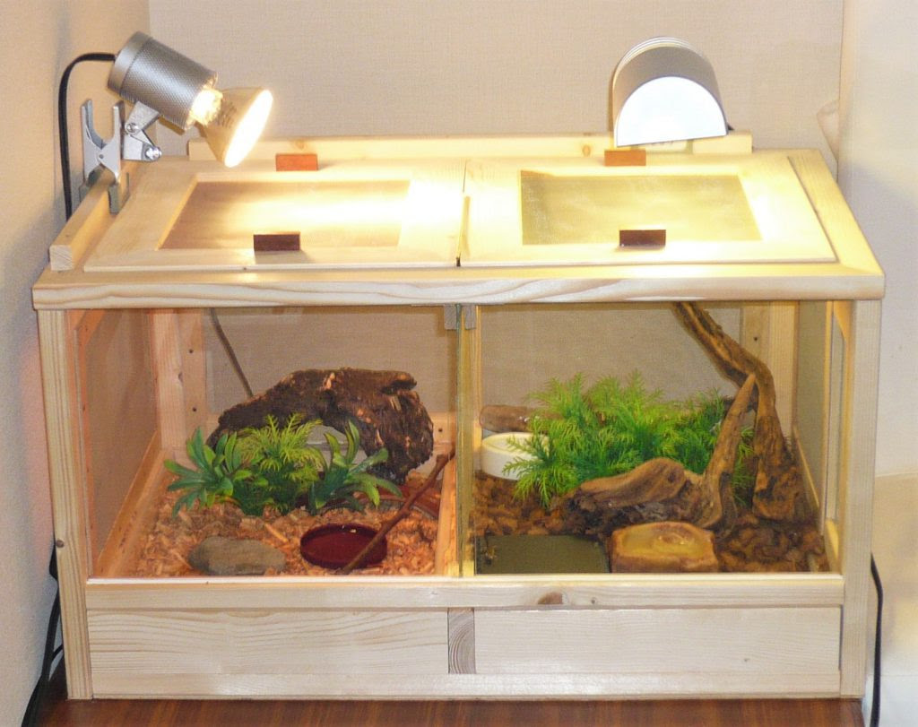 カナヘビ 飼育 水 1310 カナヘビ 飼育 水 Nyosspixz8du