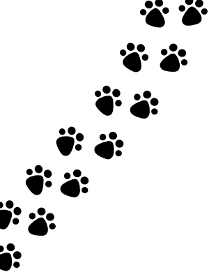 Twitter 画像 使える Muryosimple