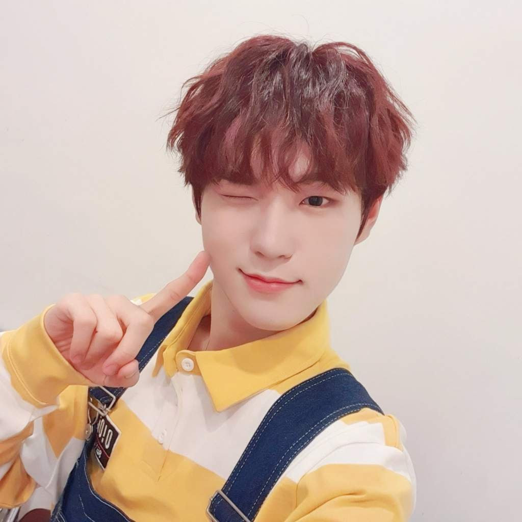 We did not find results for: Seongjun Wiki Bdc Boys Da Capo Amino