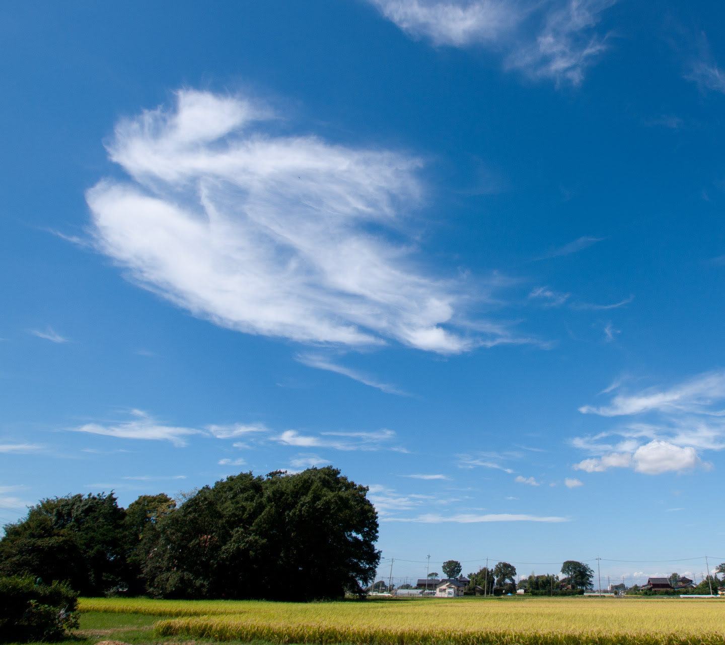 最新のhd空 スマホ 壁紙 フリー すべての美しい花の画像