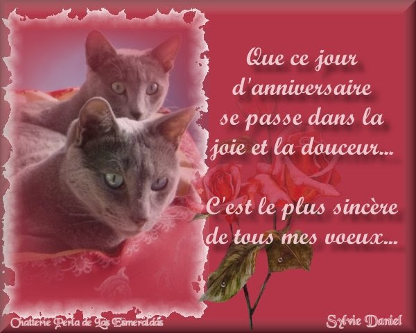 Carte Bon Anniversaire Lilou Keith