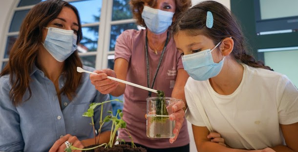 Scienza, ambiente, agricoltura