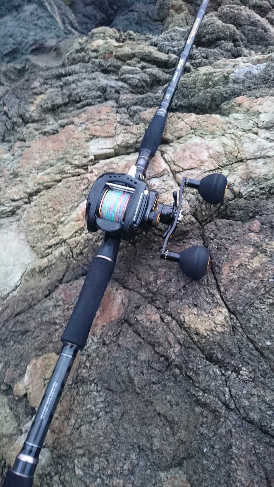 新鮮なベイト ショアジギ ング ロッド すべての魚の画像