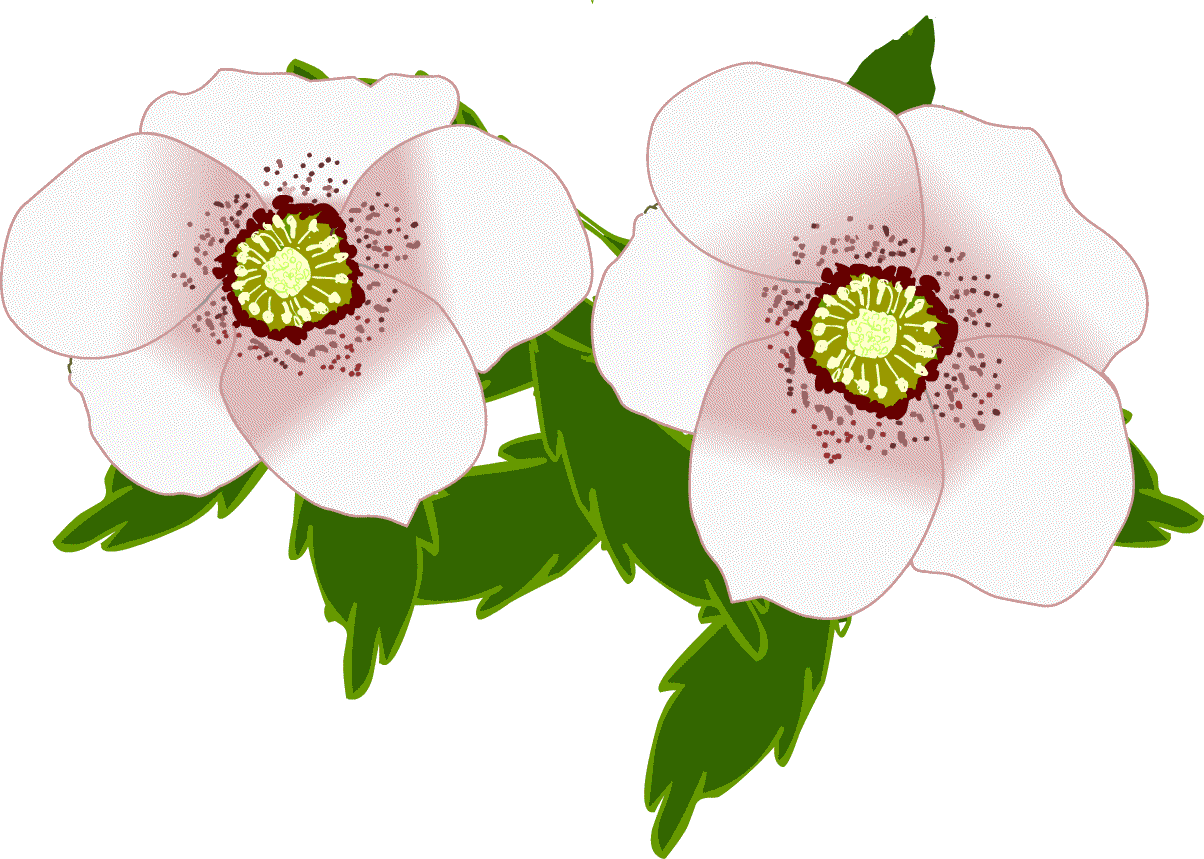 トップ100イラスト 素材 クリスマス ローズ イラスト ディズニー画像のすべて