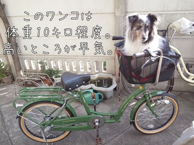犬 用 自転車