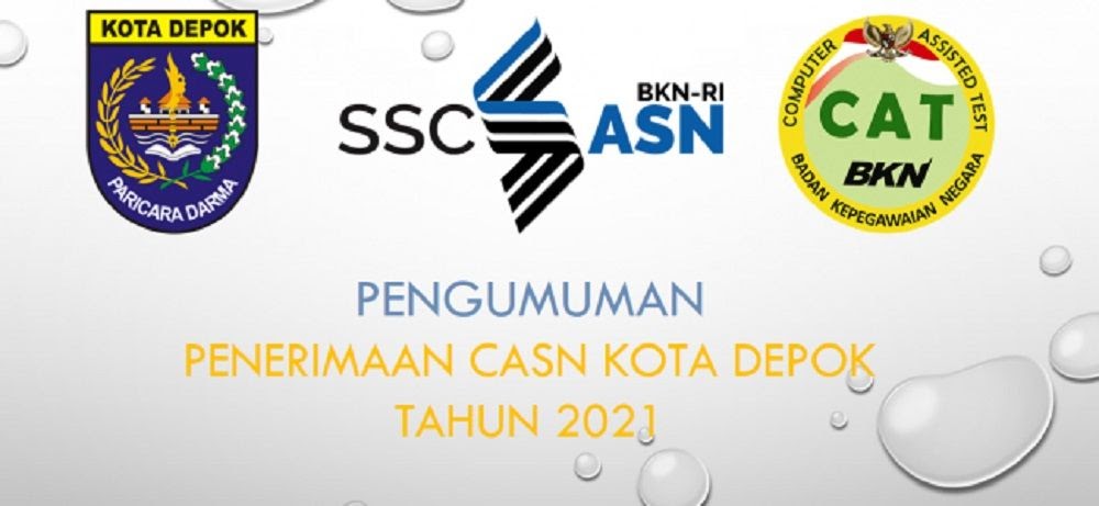 Penerimaan Cpns P3k 2021 - Guru Paud