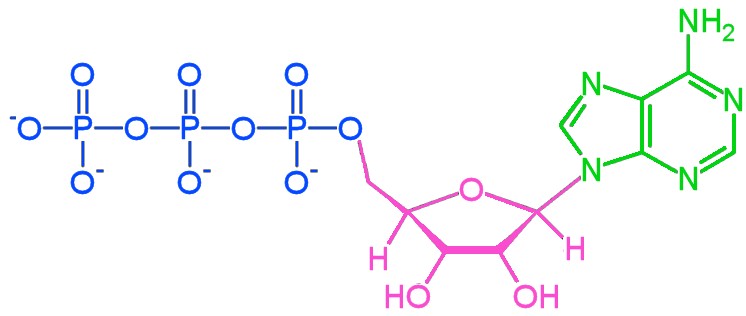 Полуфинал турнира atp 1000 в майами. Atp Molecule Of The Month January 1998 Html Only Version