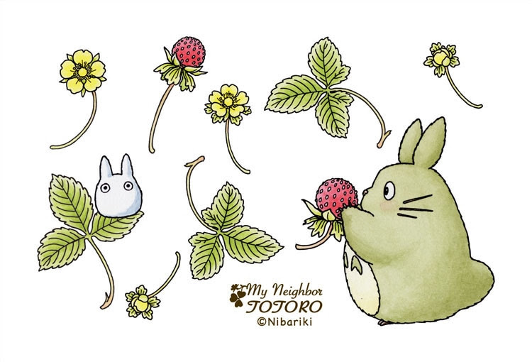無料イラスト画像 上どんぐり トトロ イラスト 簡単