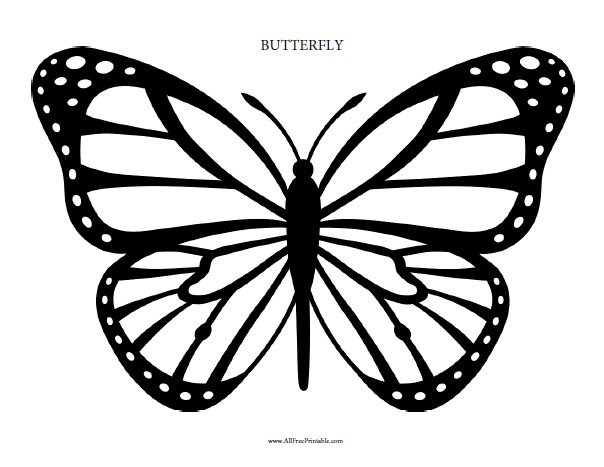 Beautiful butterfly coloring template for boundless creativity hardly any other creature is as colorful and varied as a butterfly. Butterfly Coloring Page Allfreeprintable Com