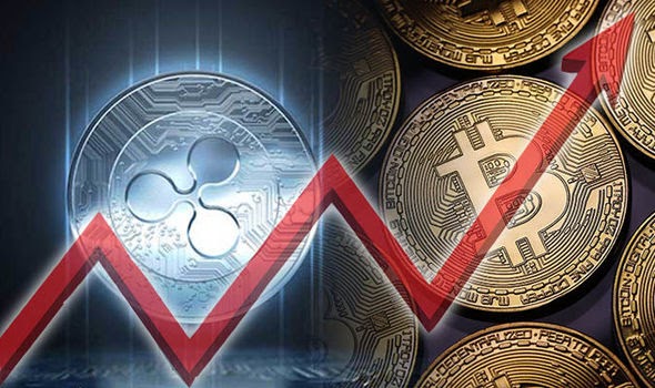 Is XRP the next bitcoin? How high could the price go ...